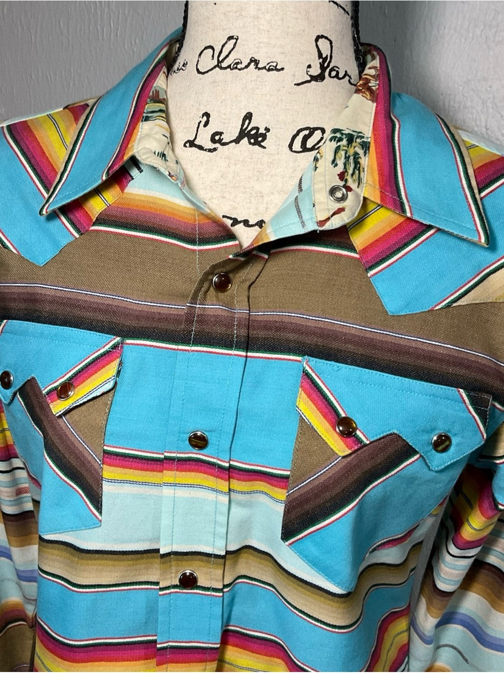 Tasha Polizzi Turquoise Multi-Stripe Western Button-Down Shirt - Picture 2 of 10